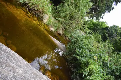 a stream running through moss and stone
